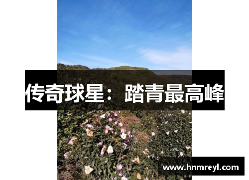 传奇球星：踏青最高峰